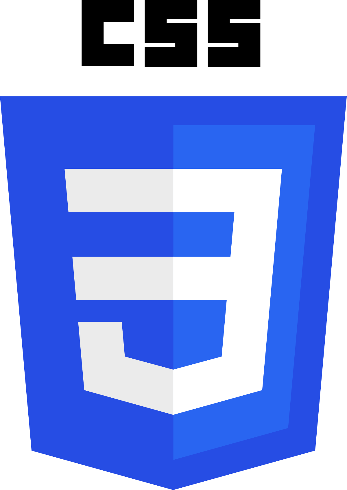 icono lenguaje CSS